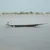 Mopti