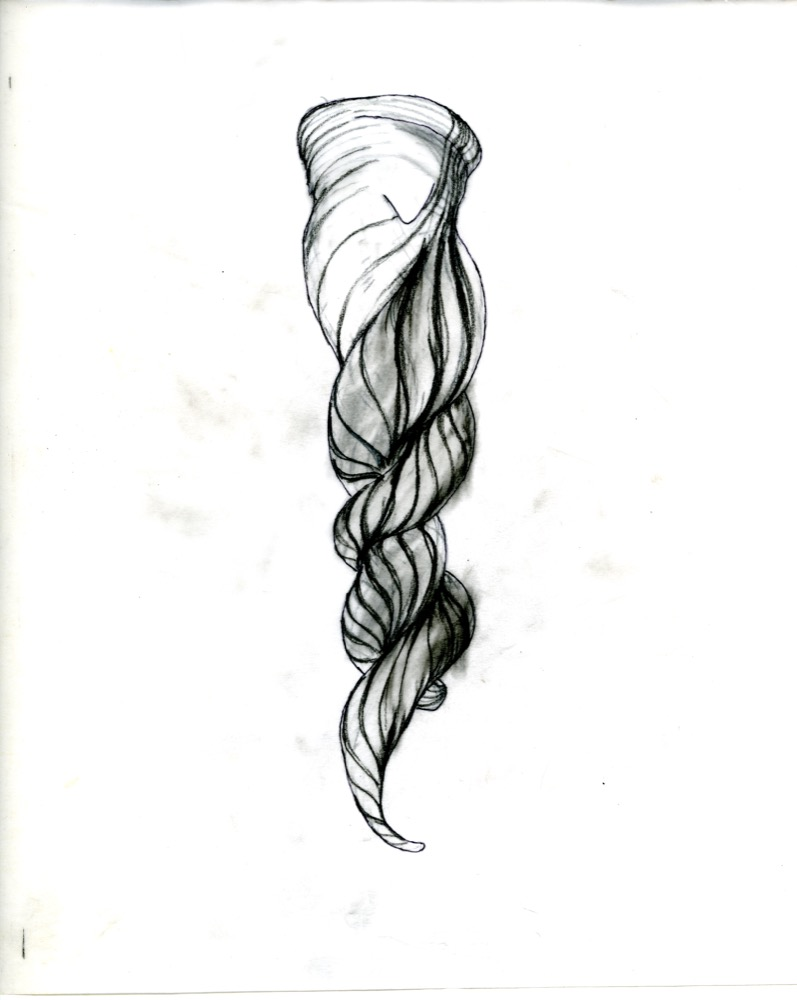 Drawing for 'Another Curious Carrot'