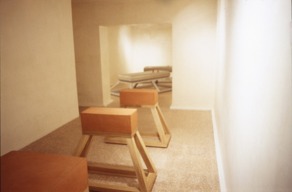 New Bases: Richard Deacon