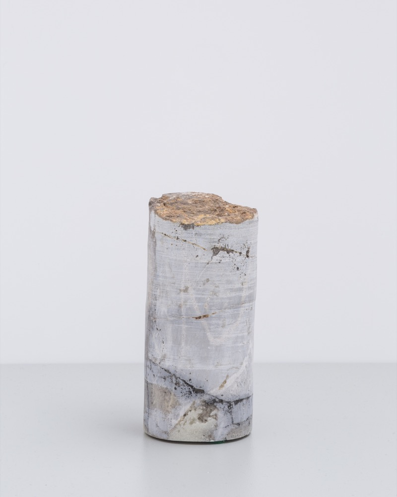 Plymouth Rock 1 2015 (Small Sculpture 19)