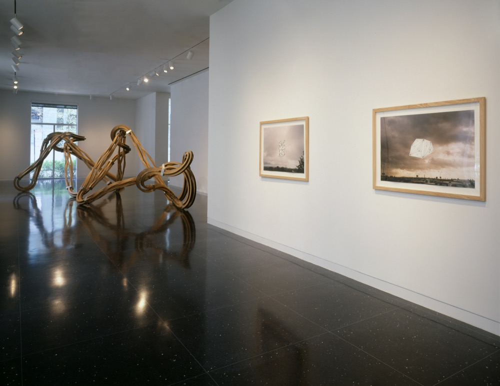 Richard Deacon: Dead Leg